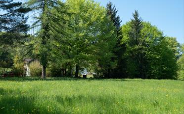 Einfamilienhaus - image - 26