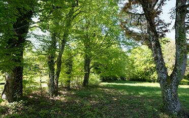 Einfamilienhaus - image - 28