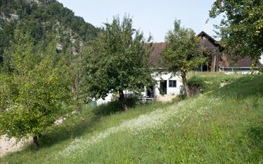 Einfamilienhaus - image - 29