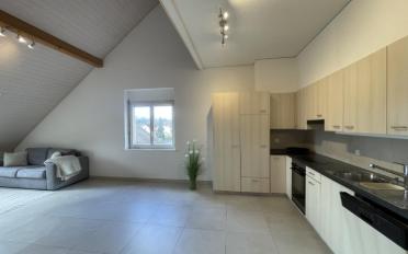 Duplex 5 pièces - image - 2