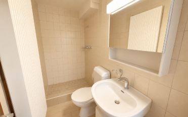 Maison contiguë 5 pièces - image - 12