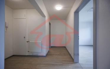 Wohnung 2 Zimmer - image - 4