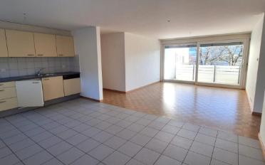 Wohnung 2.5 Zimmer - image - 1