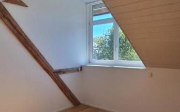 Appartement 4.5 pièces - image - 9