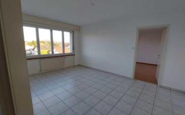 Appartement 2.5 pièces - image - 8
