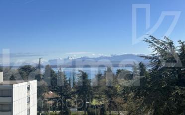 Wohnung 6 Zimmer - image - 1