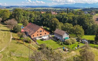Bauernhaus 12 Zimmer - image - 4