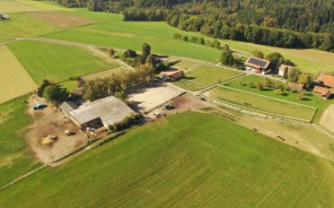 Halle d'équitation 7.5 pièces - image - 1