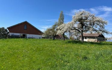 Bauernhaus 5.5 Zimmer - image - 7