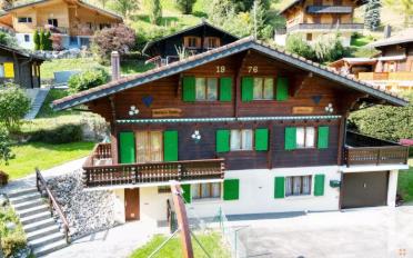 Chalet 6.5 pièces - image - 1