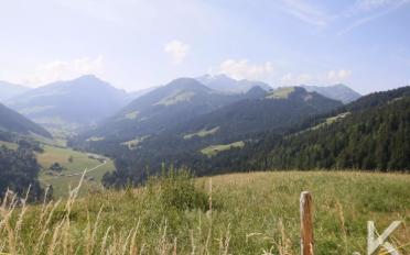 Chalet 4.5 Zimmer - image - 3