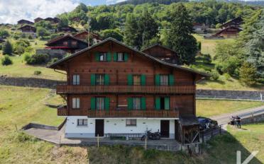 Chalet 11 rooms - image - 1