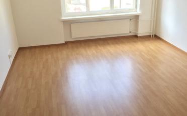 Wohnung 3 Zimmer - image - 5