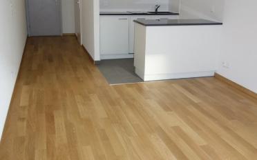 Apartment 1.5 rooms - image - 4