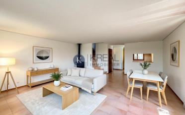 Einfamilienhaus 5.5 Zimmer - image - 3