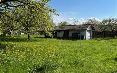 Einfamilienhaus - image - 3