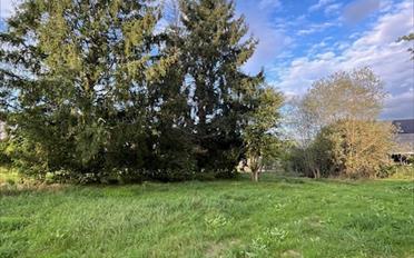 Building land - image - 1