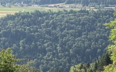 Chalet - image - 5