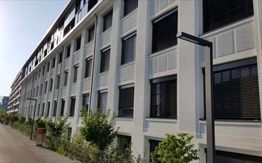 Duplex 7 pièces - image - 19