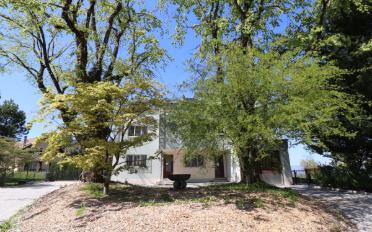 Single house 10 rooms - image - 8
