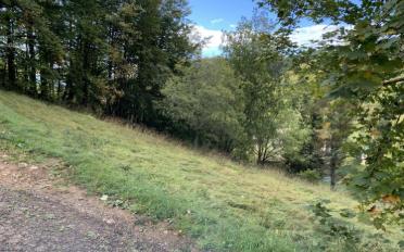 Terrain à bâtir - image - 1