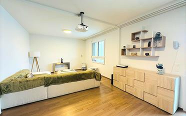 Attic flat 5.5 rooms - image - 3