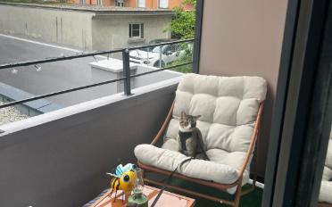 Appartement - image - 5