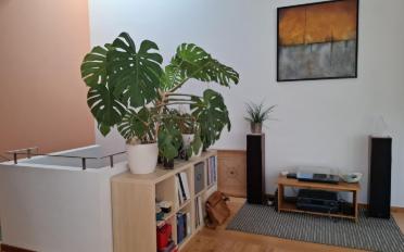 Wohnung 5.5 Zimmer - image - 6