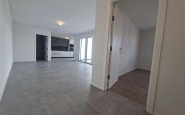 Appartement 2.5 pièces - image - 3
