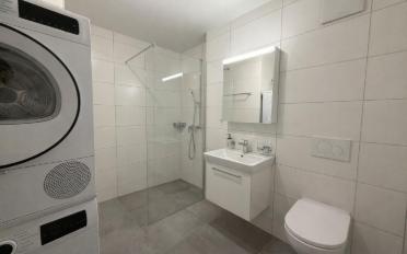 Wohnung 4.5 Zimmer - image - 8