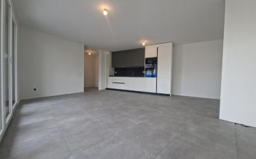 Wohnung 2.5 Zimmer - image - 1