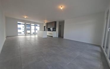Wohnung 3.5 Zimmer - image - 1