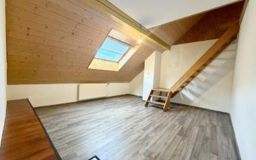 Farm house 12.5 rooms - image - 6