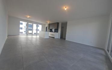 Wohnung 3.5 Zimmer - image - 1