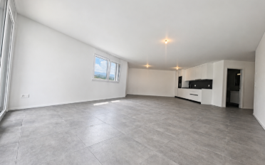 Wohnung 2.5 Zimmer - image - 2