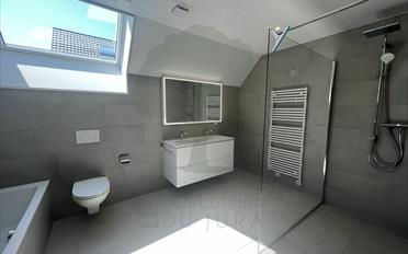 Einfamilienhaus 6.5 Zimmer - image - 8