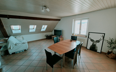 Wohnung 4.5 Zimmer - image - 2