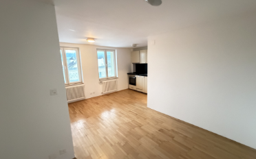 Apartment 1.5 rooms - image - 2