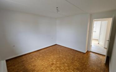 Wohnung 3 Zimmer - image - 5