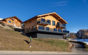 Single house 15.5 rooms - image - 2