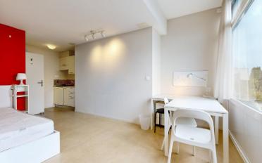 Studio 1 pièce - image - 2