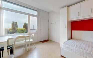 Studio 1 pièce - image - 3