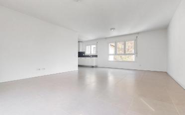 Appartement 3.5 pièces - image - 3