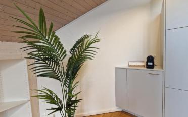 Apartment 1 room - image - 9