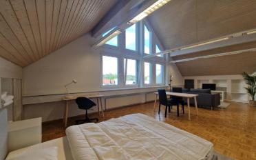 Apartment 1 room - image - 8