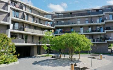 Appartement 4 pièces - image - 8