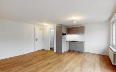 Wohnung ein Zimmer - image - 4