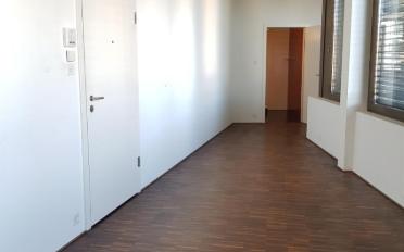 Wohnung 4.5 Zimmer - image - 4