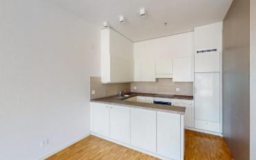 Wohnung 2.5 Zimmer - image - 5