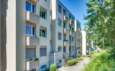 Wohnung 3.5 Zimmer - image - 1